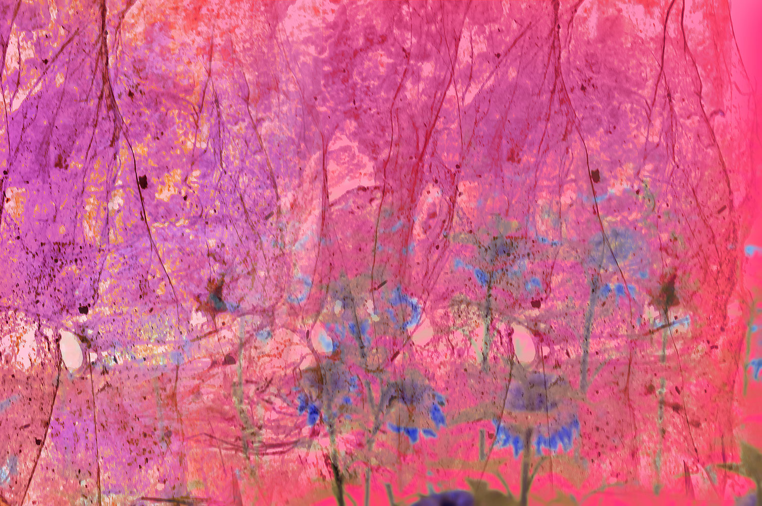 Blumen — eine Brücke zur unsichtbaren Welt  · 7 Künstler aus Japan und Gäste · 日本からのアーティスト7名とゲスト